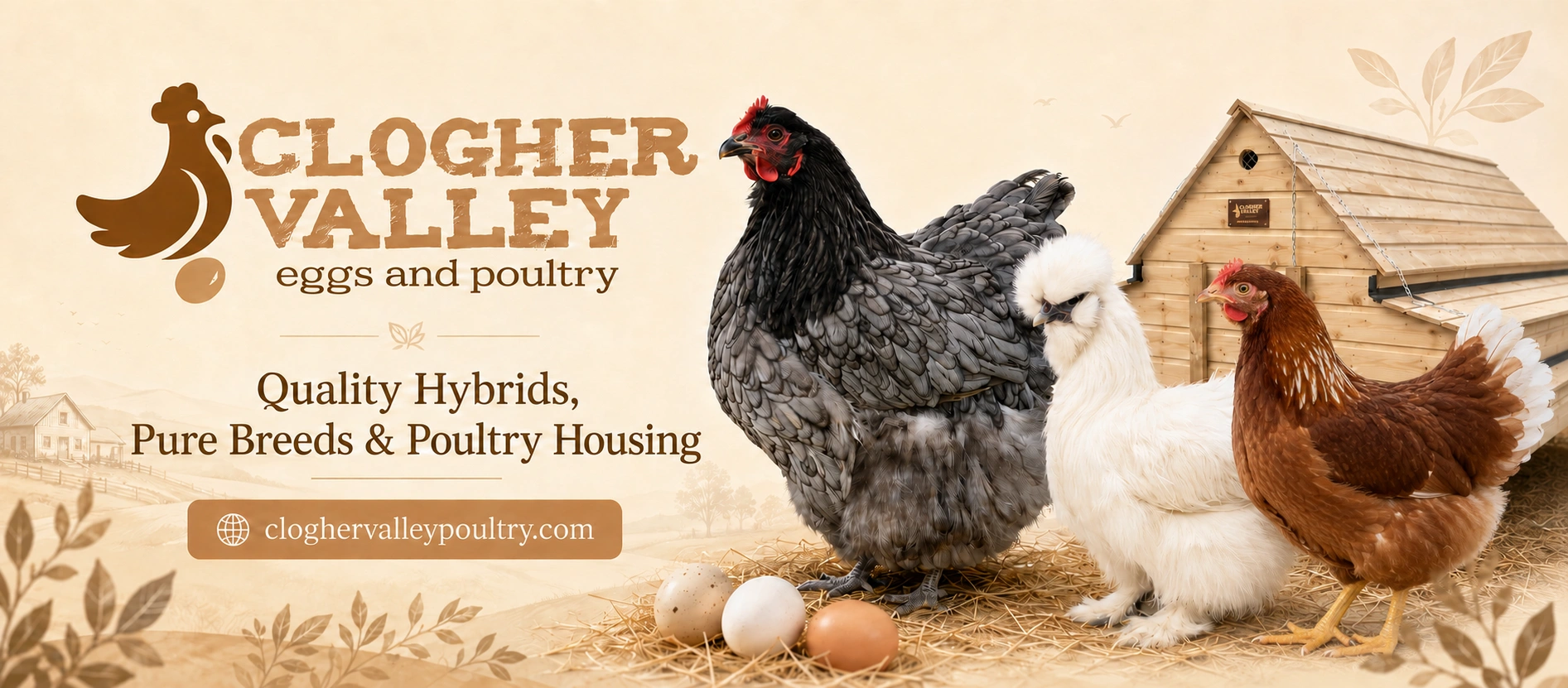 Brand banner created for Clogher Valley Eggs & Poultry - the logo and the words "Quality Hybrids, Pure Breeds & Poultry Housing" beside three hens and a wooden coop on an illustrated countryside background