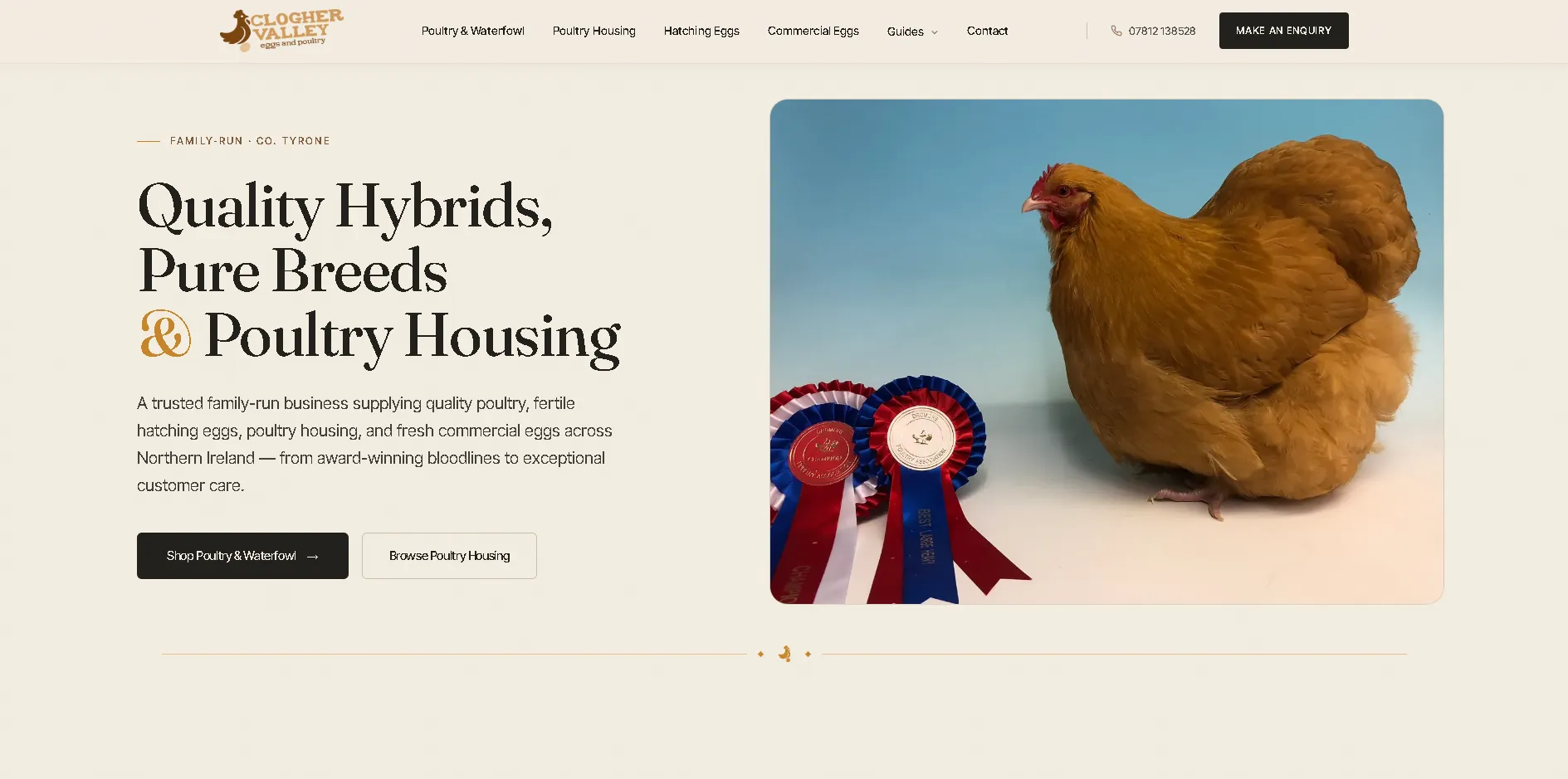 Clogher Valley Eggs & Poultry website homepage with its navigation, introductory copy and award-winning hen