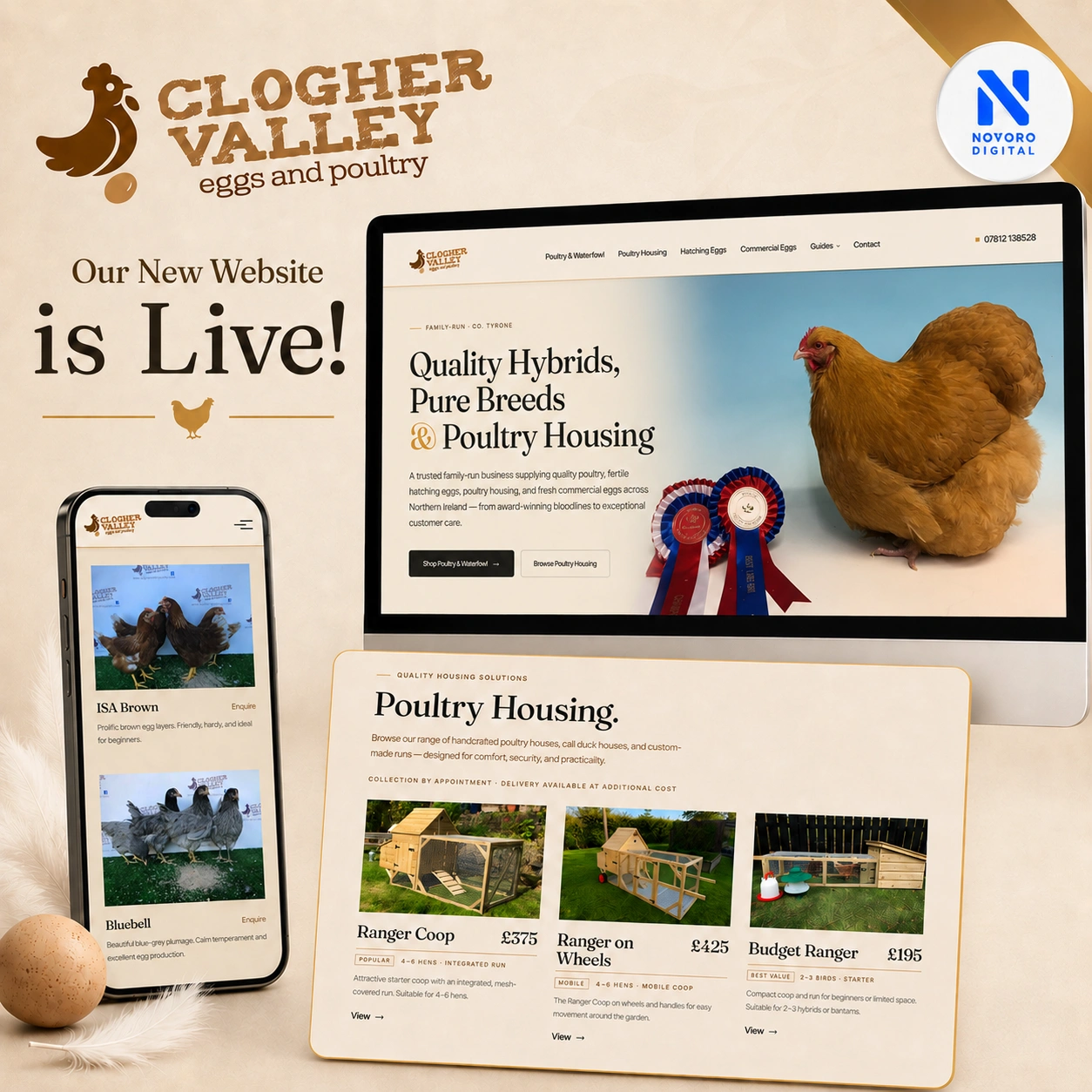 Launch graphic created for Clogher Valley Eggs & Poultry - the announcement "Our New Website is Live!" beside desktop and phone mockups showing the homepage and poultry housing pages