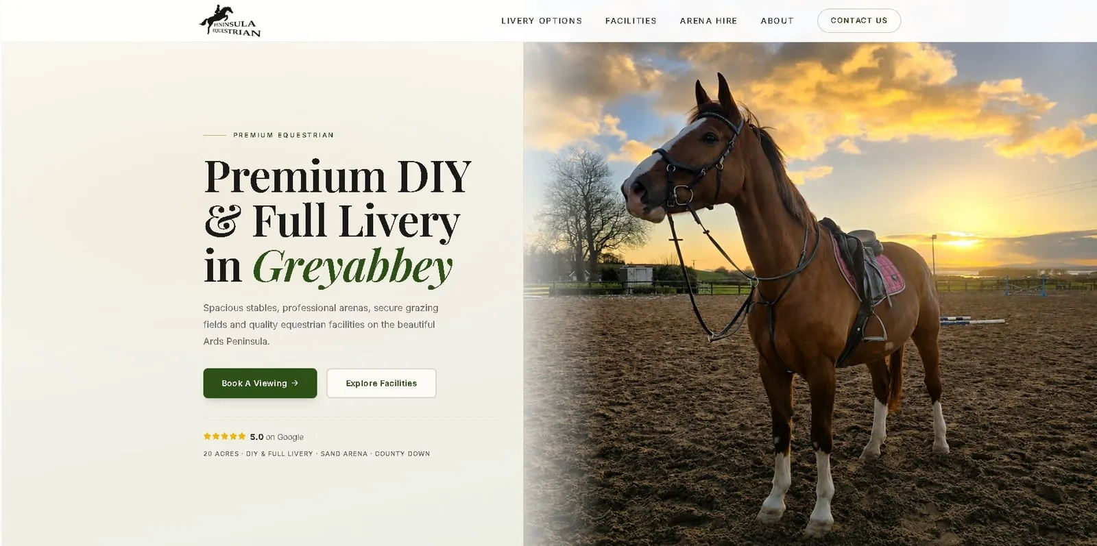 Peninsula Equestrian website homepage — premium DIY and full livery in Greyabbey, County Down